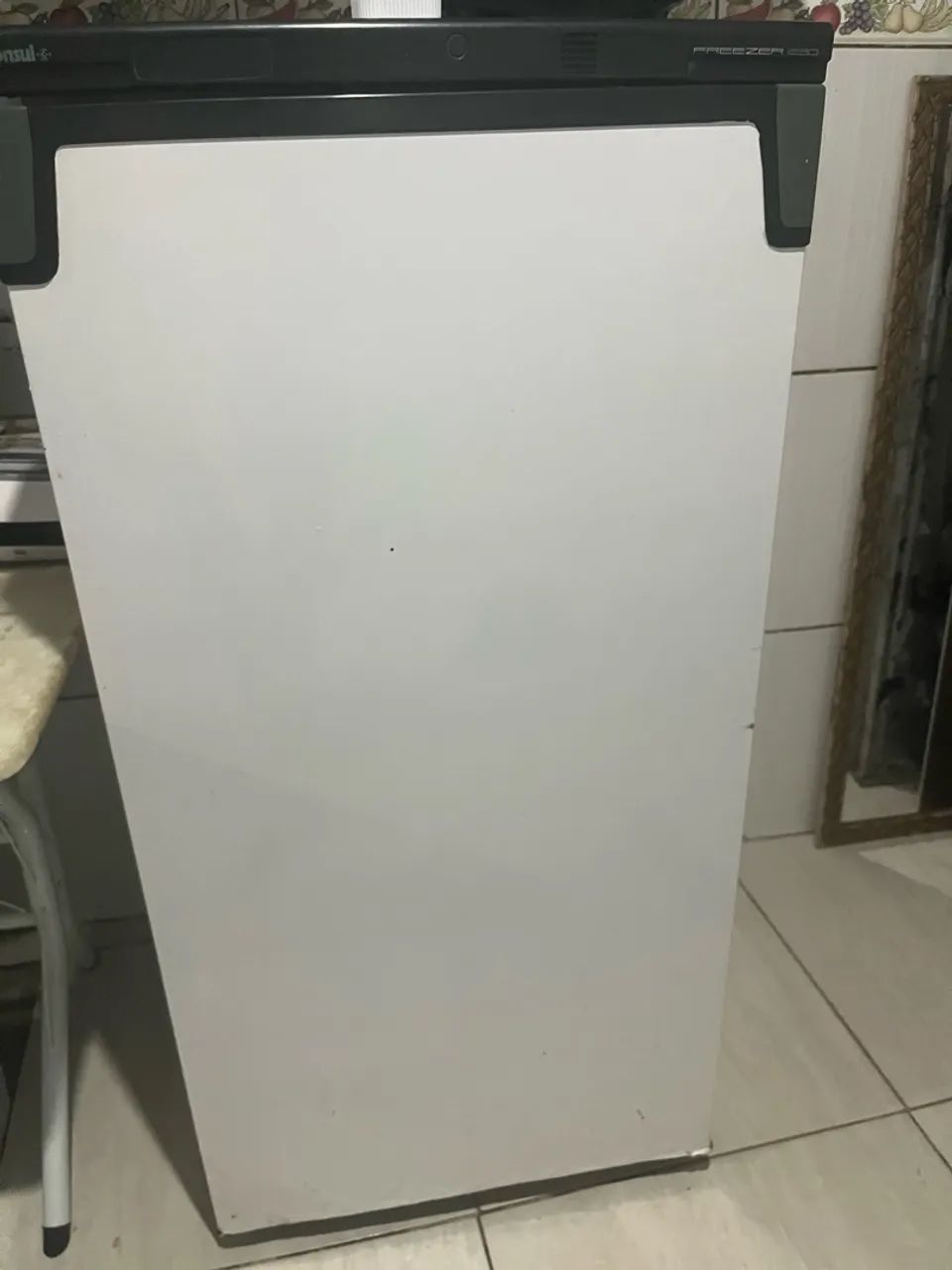 Freezer cônsul