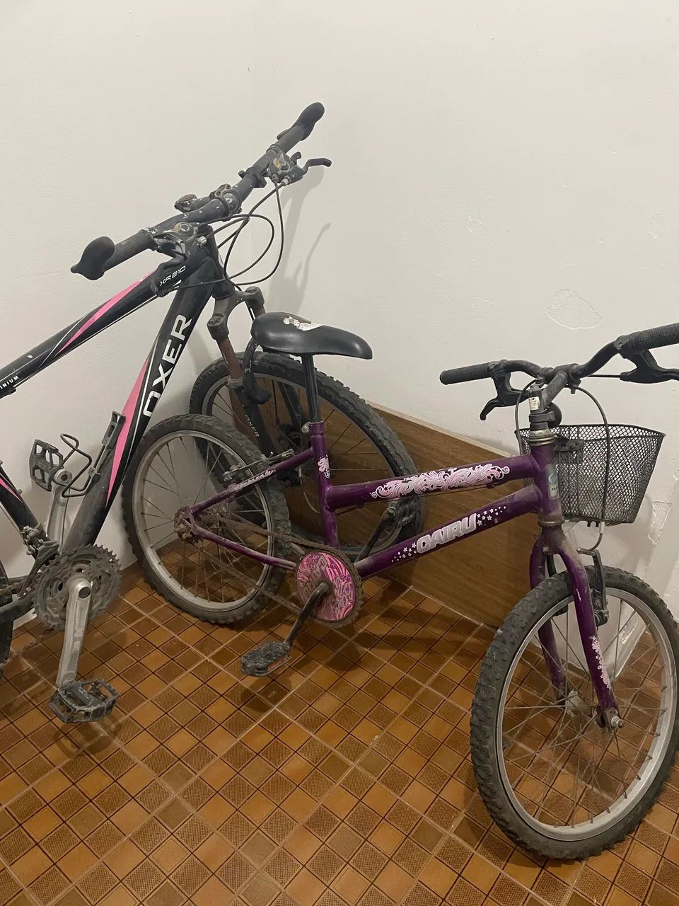 Duas bicicletas pelo preço de uma 