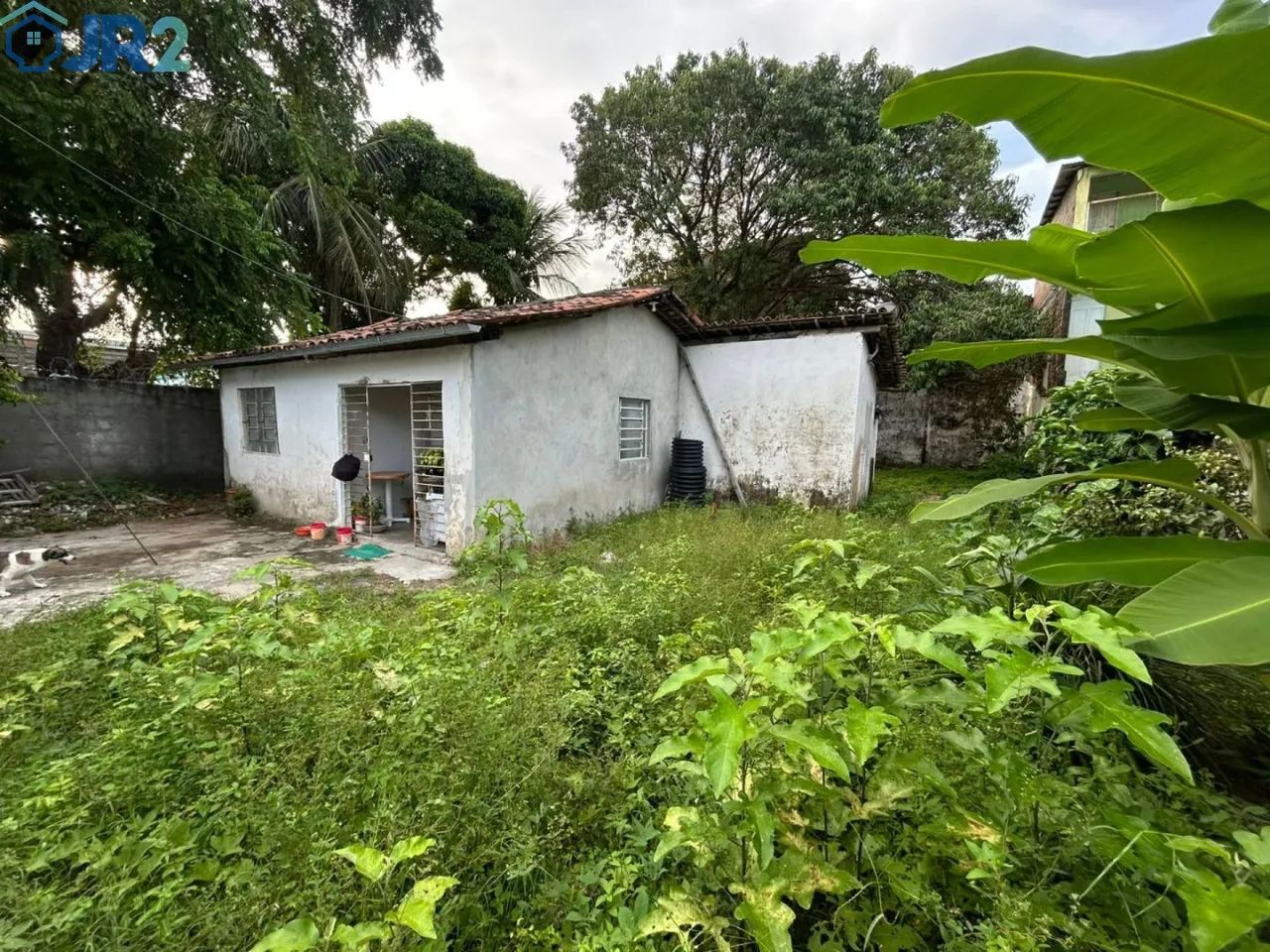 OPORTUNIDADE EM MUSTARDINHA - Foto 4