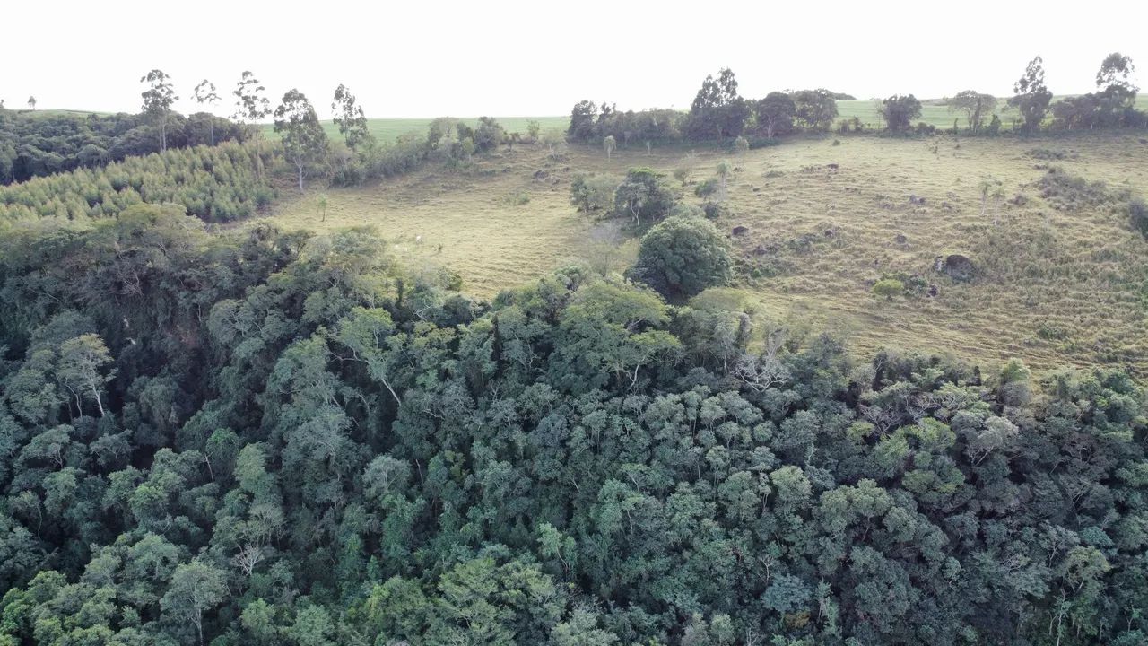 Vende sítio em excelente lugar em são Jerônimo da serra - Foto 5