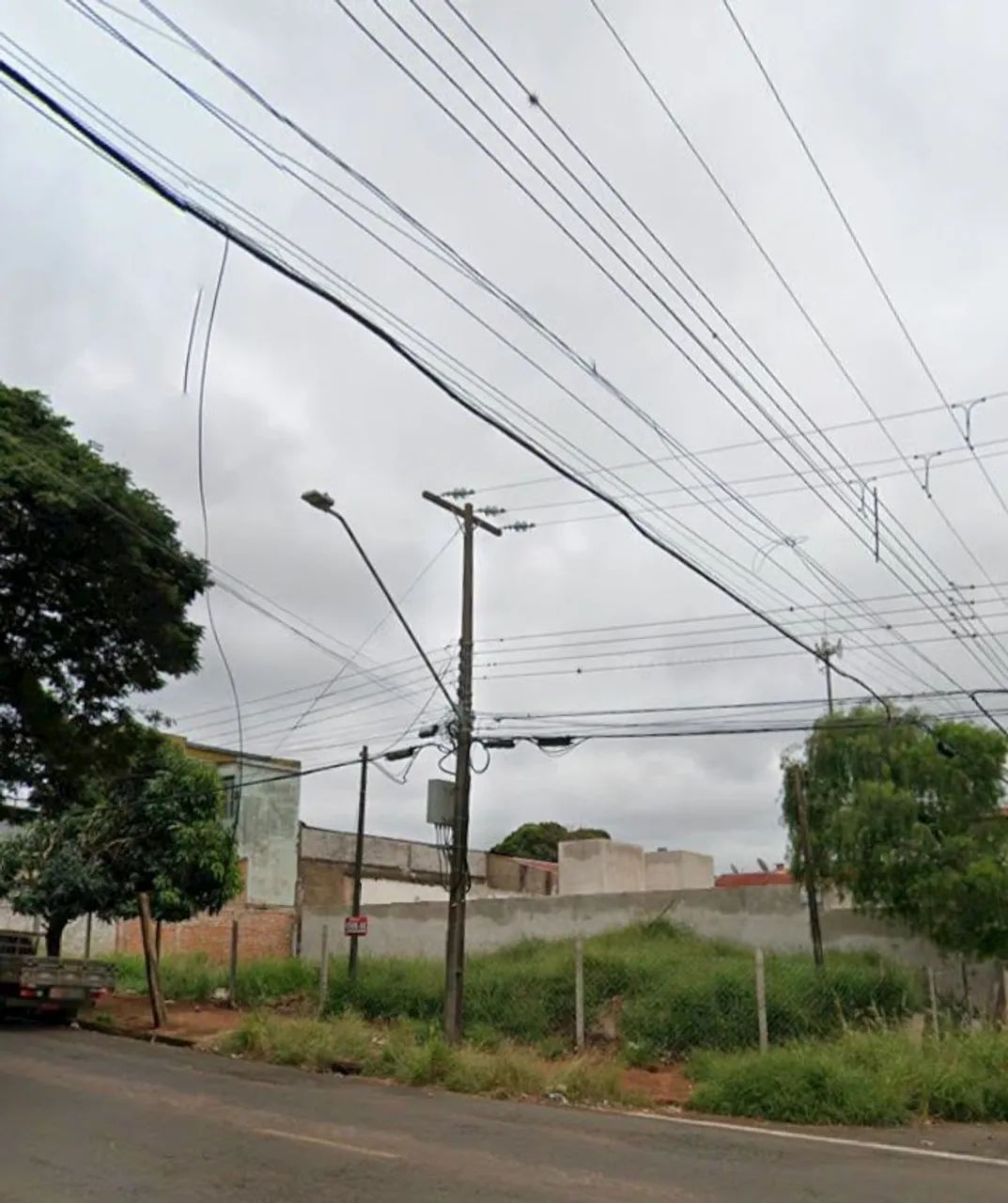 Foto - Londrina - Leonor