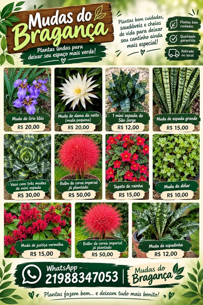 Planta  - Foto 2
