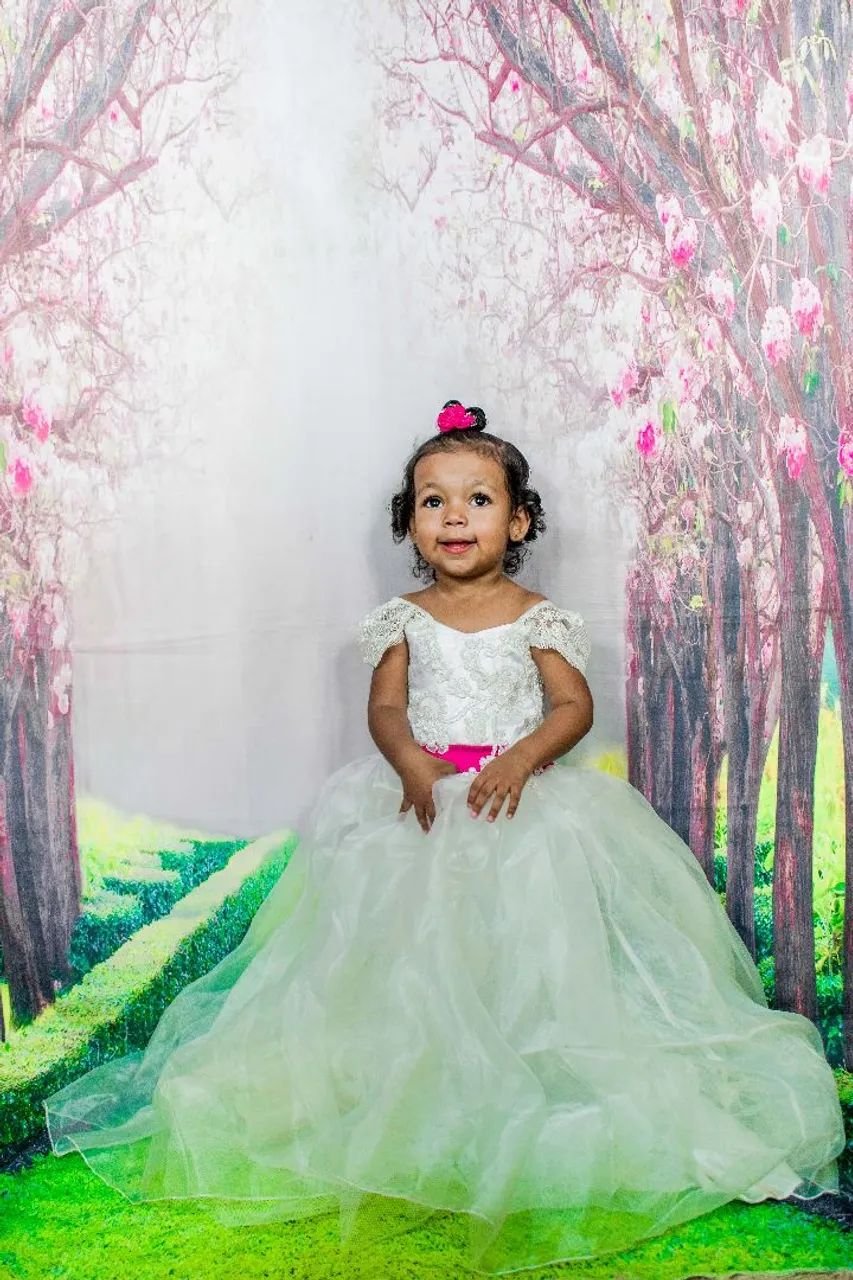  Vestidos de Daminha - Foto 2