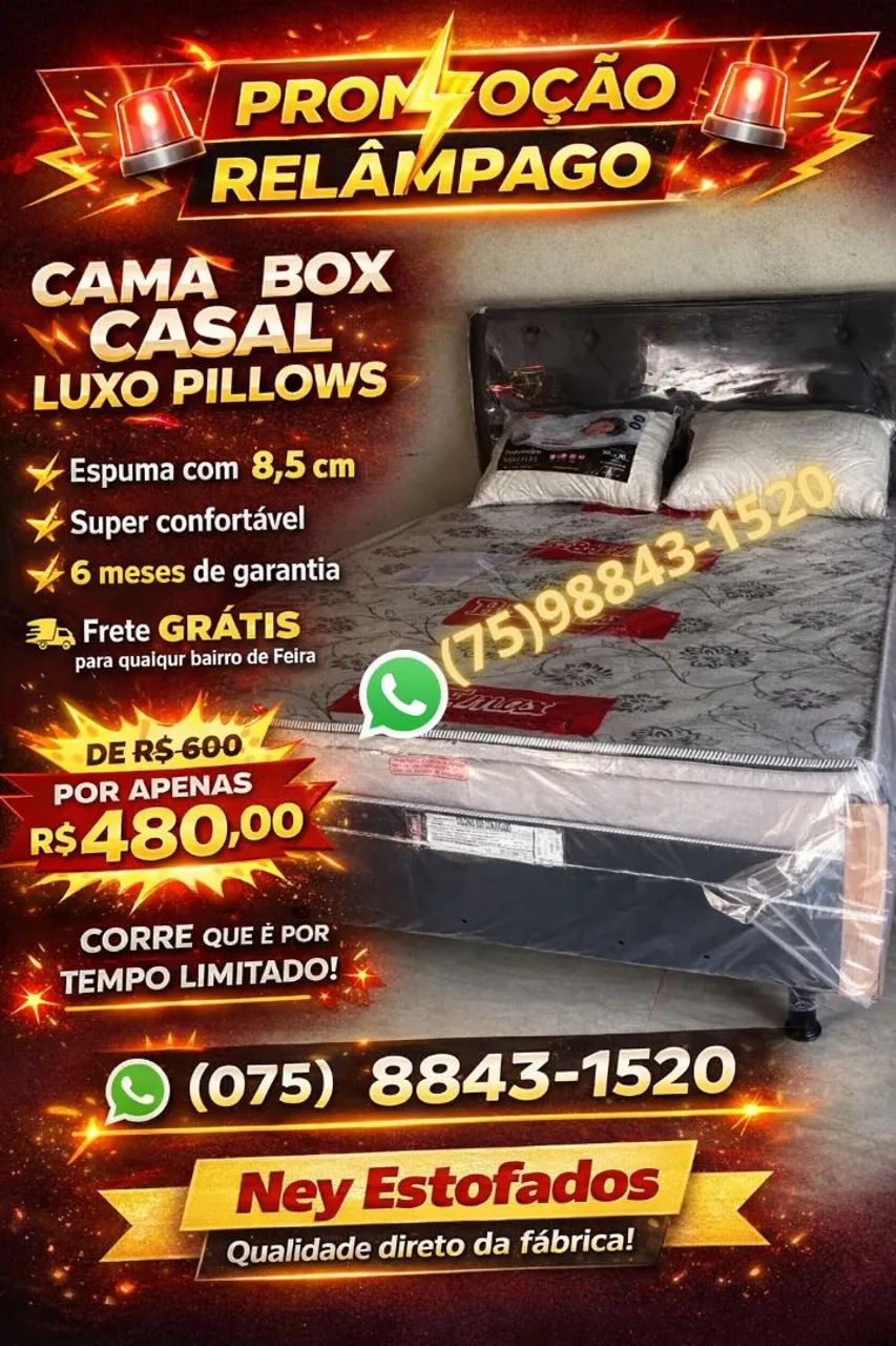 Meu Deus que loucura  - Foto 5