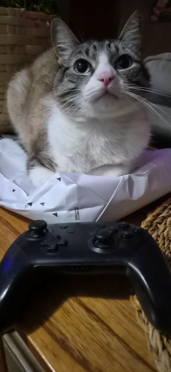 Controle Pro Nintendo Switch - Foto 4