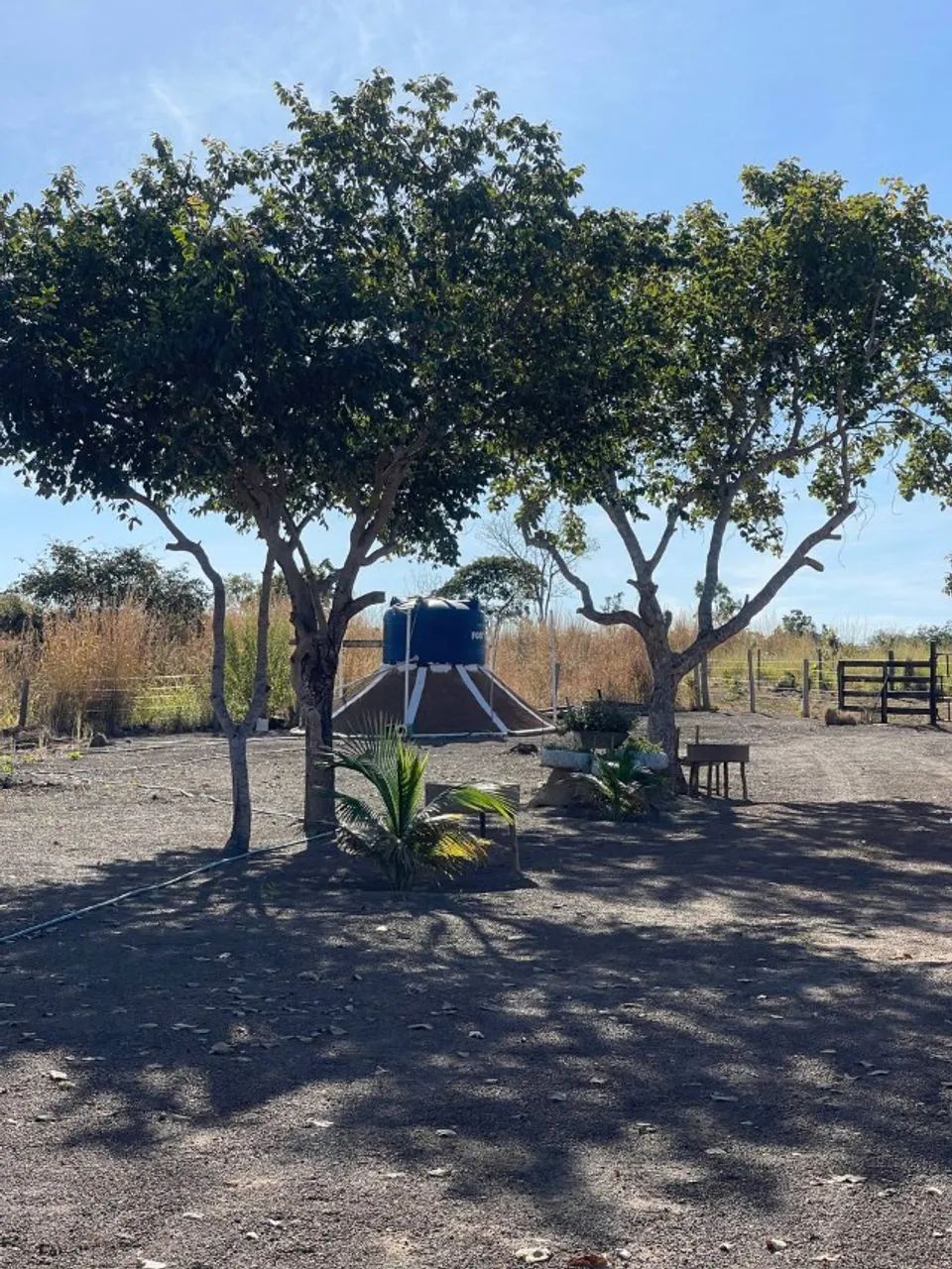 Sítio 30 Hectares Formado - Casa Ampla, Curral, Tanques de Peixe e Ótimo Acesso - Foto 12