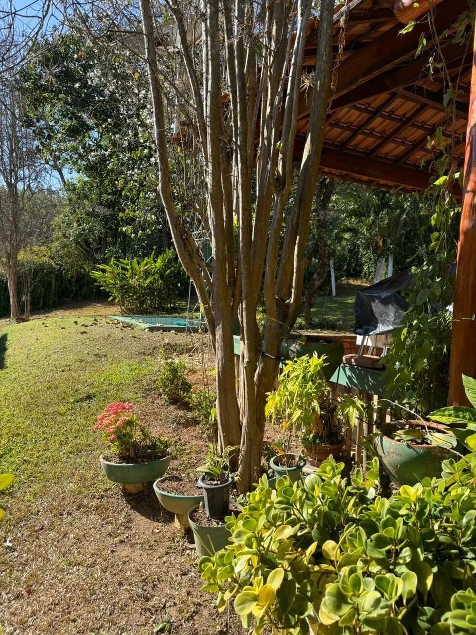 FAZENDA À VENDA  REGIÃO DE JACUTINGA/MG (DIVISA COM SP) - Foto 4