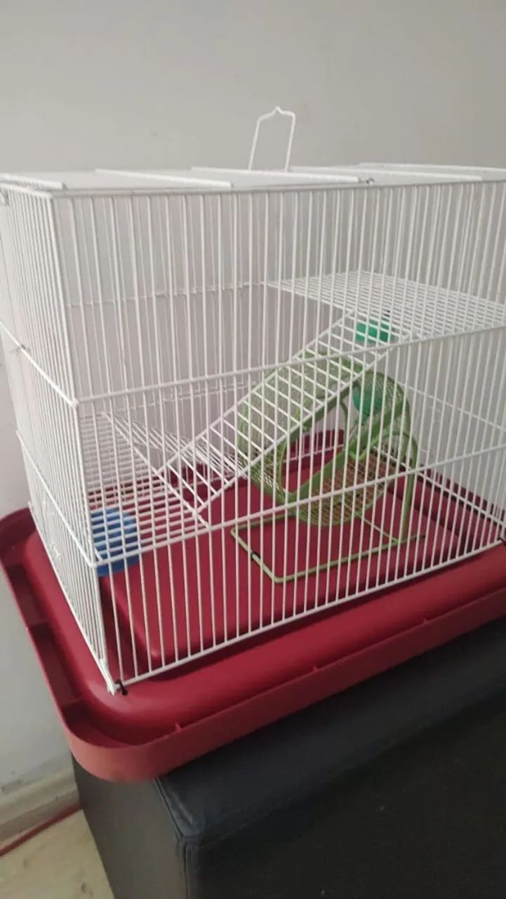 Gaiola hamster - Foto 4