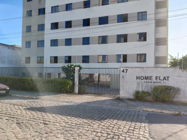 Foto - Natal - Capim Macio