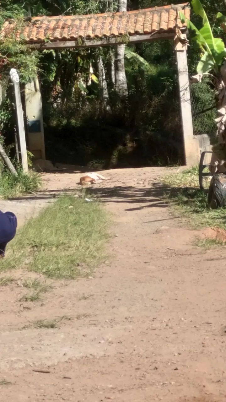 Terreno São Roque  - Foto 2