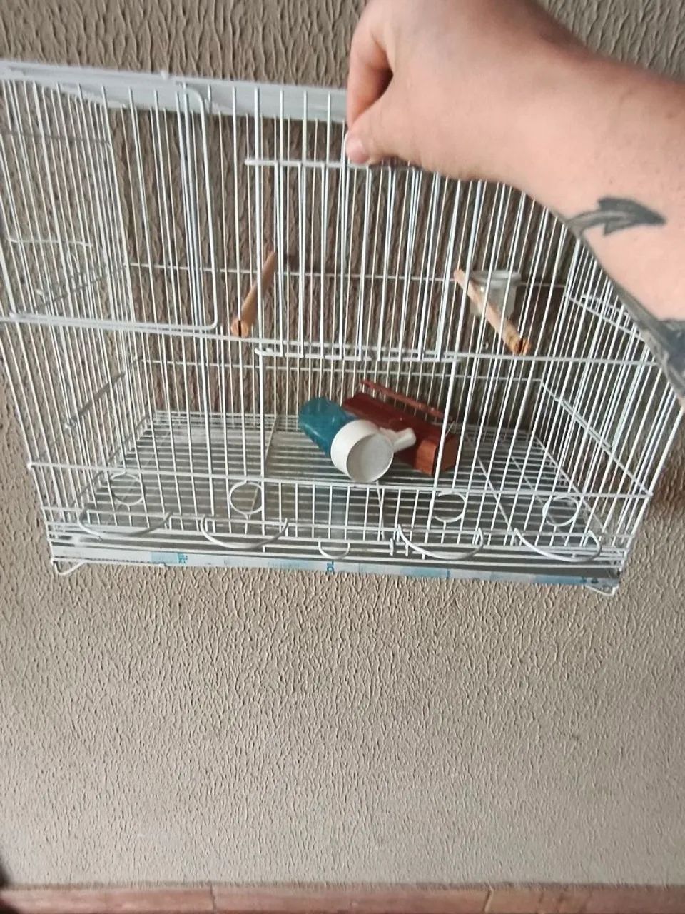 Gaiolas de aço para canários semi novas - Foto 6
