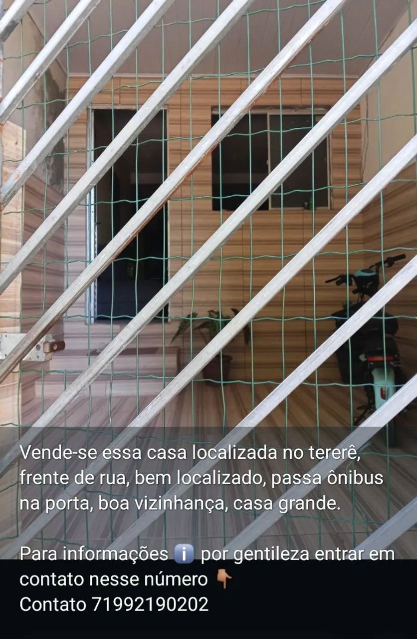 Foto - Mata de São João - Praia do Forte