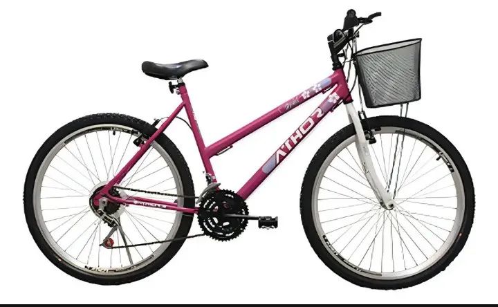 Bicicleta feminina