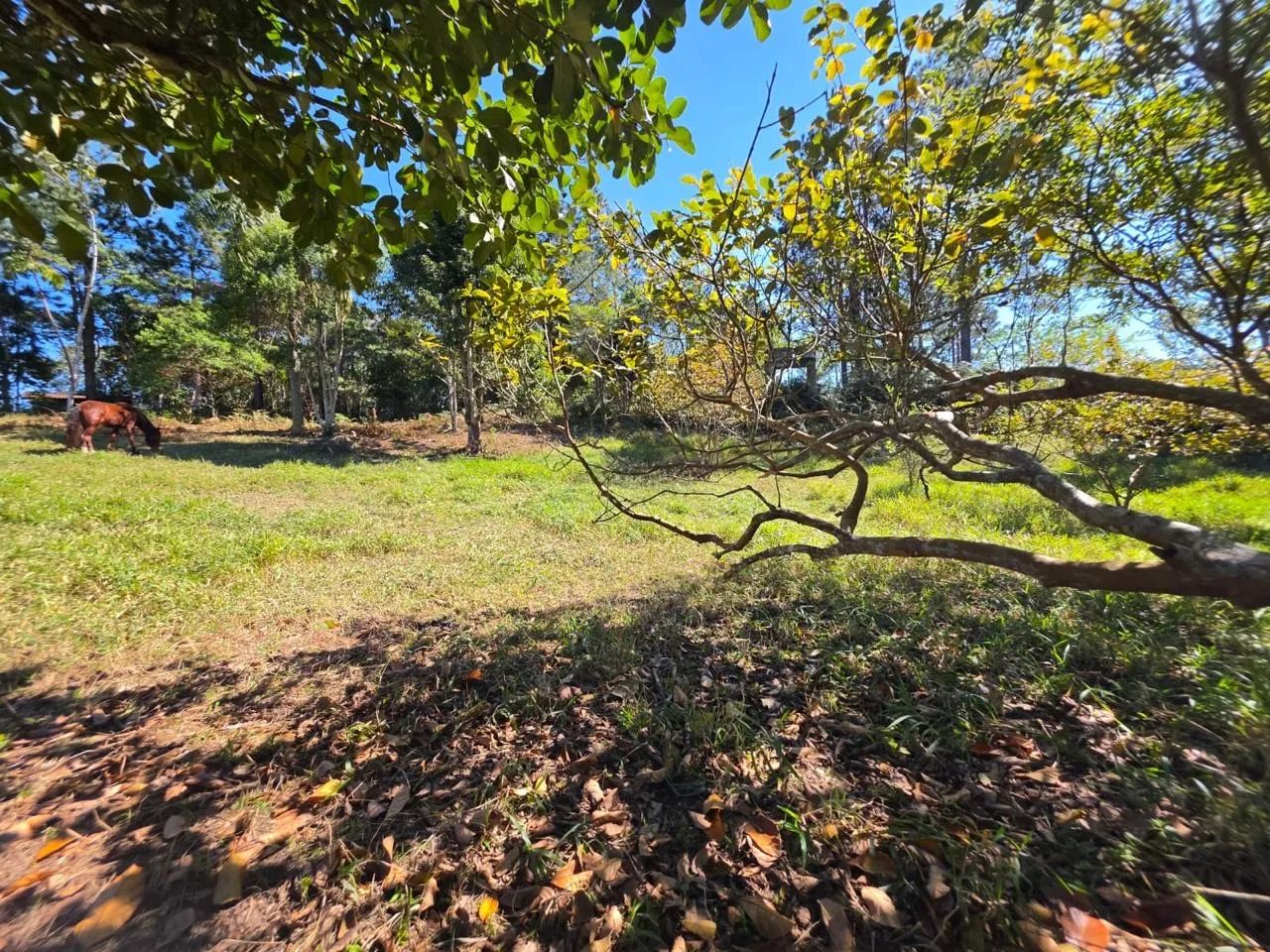 CHÁCARA COM CASA DE 4 CÔMODOS PRÓXIMO A REPRESA - Foto 5
