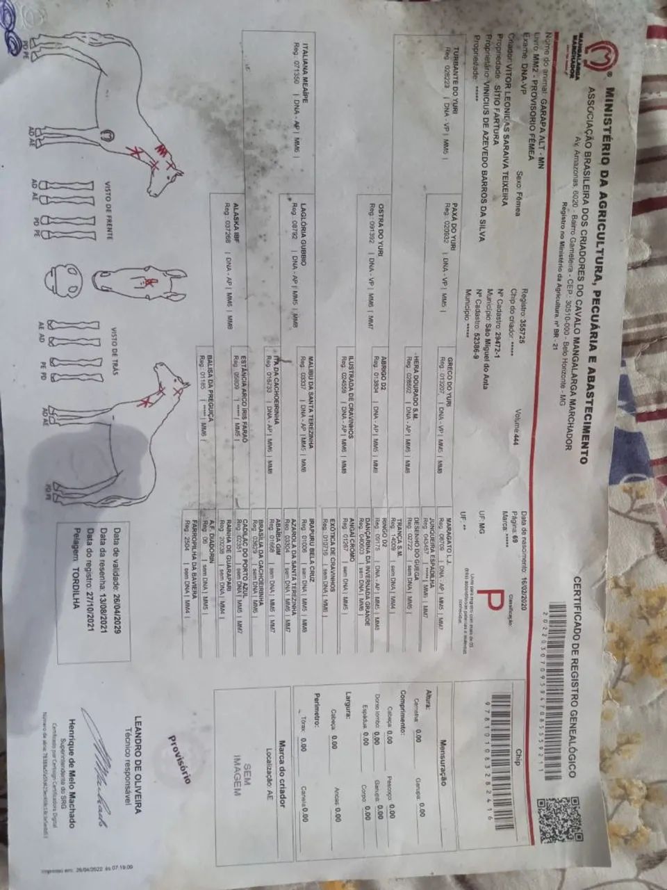 Égua manga larga  - Foto 2