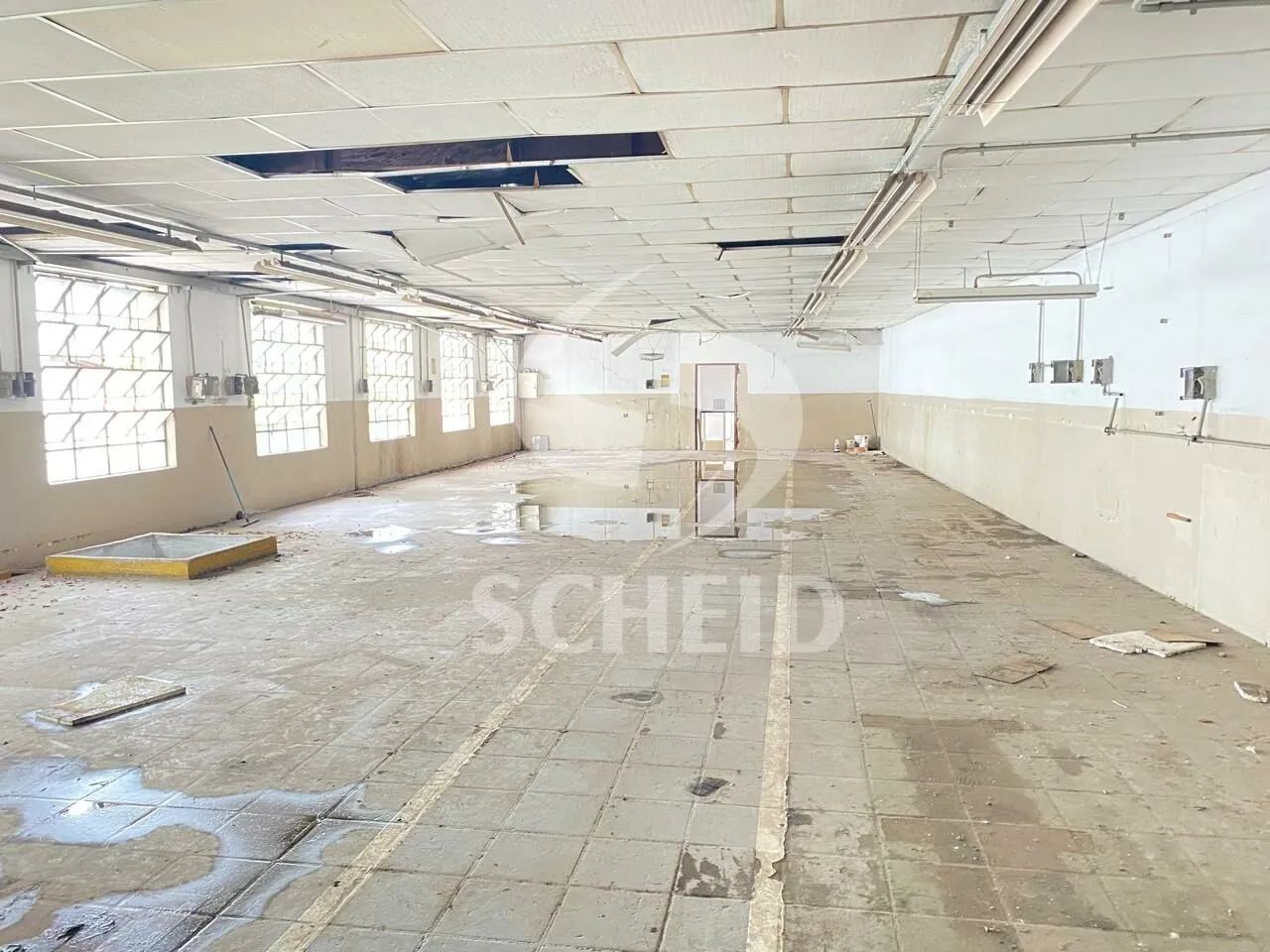 PRÉDIO DE ESQUINA - LOCAÇÃO NA GRANJA JULIETA - Foto 6