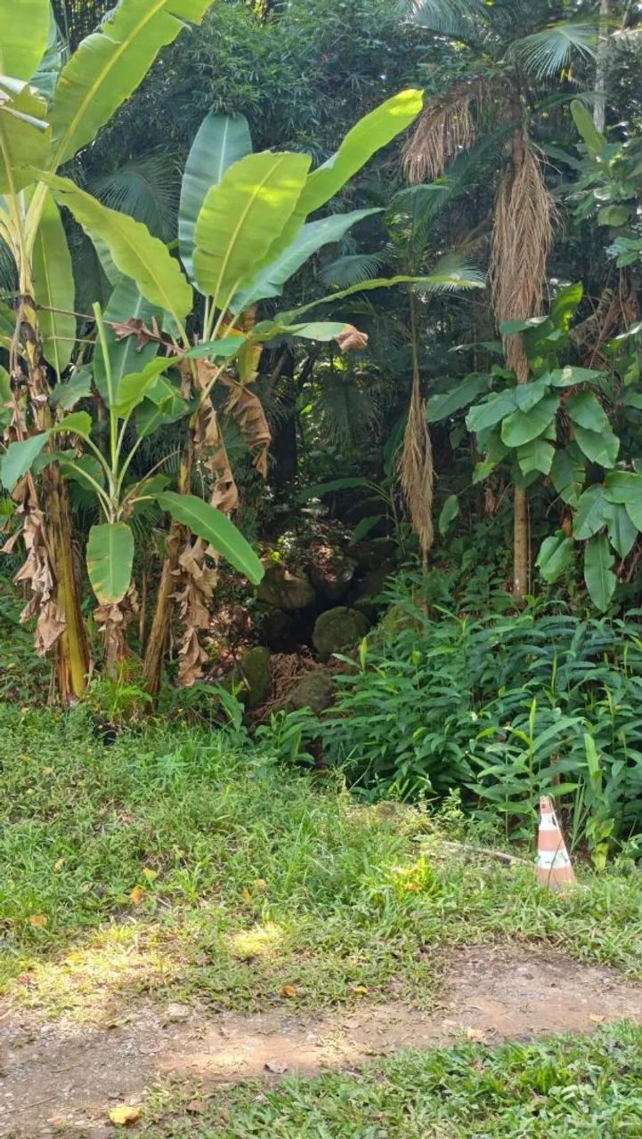 Terreno rural Santo amaro da imperatriz  - Foto 3