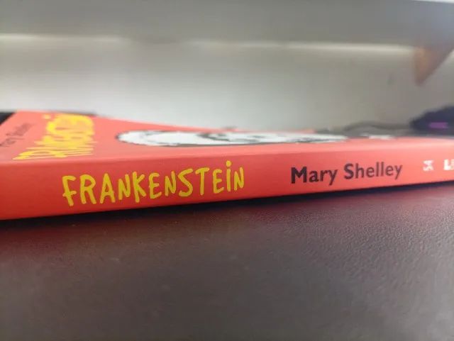 Frankenstein, Mary Shelley  - Foto 3