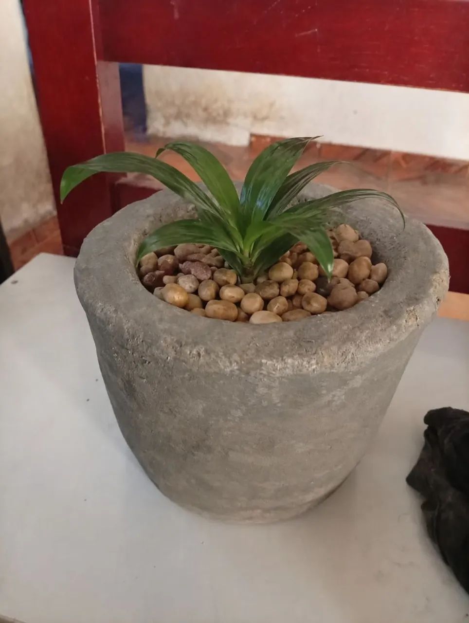 Vasos para plantas 