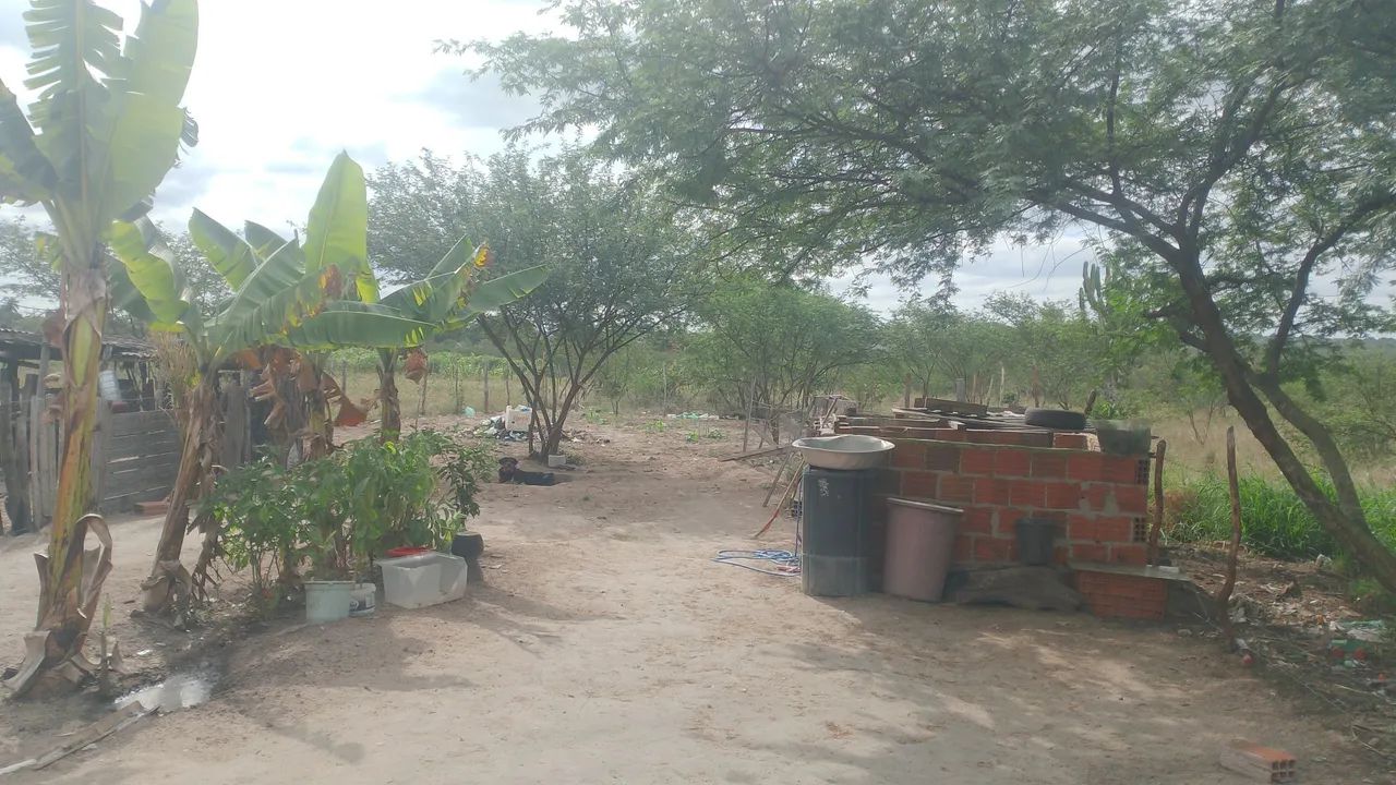 janete - Foto 3
