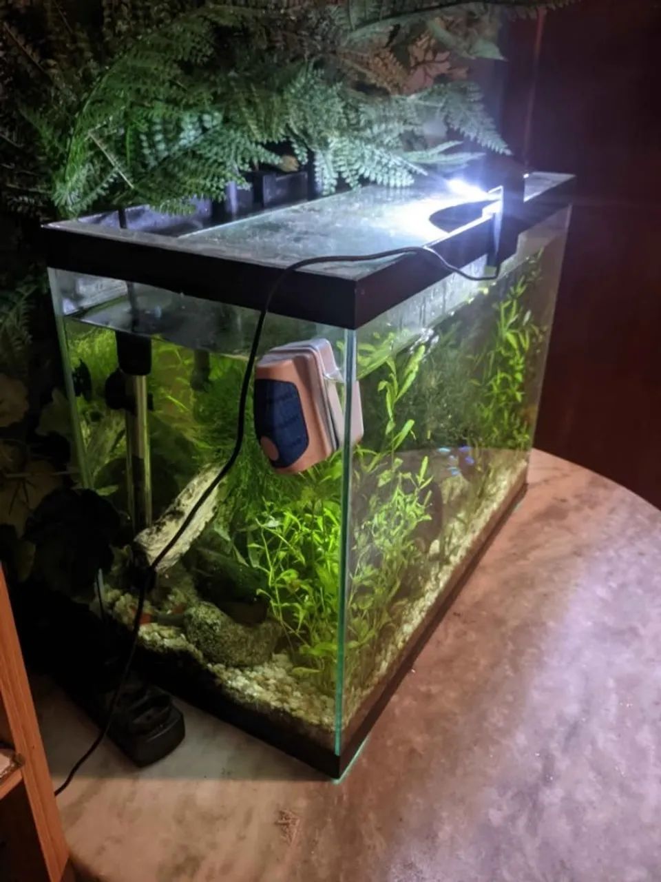 Aquario 100l a venda - Foto 5