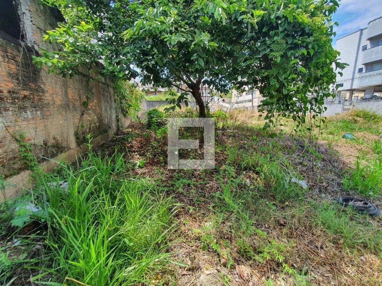 Terreno em Serraria - São José, SC - Foto 5