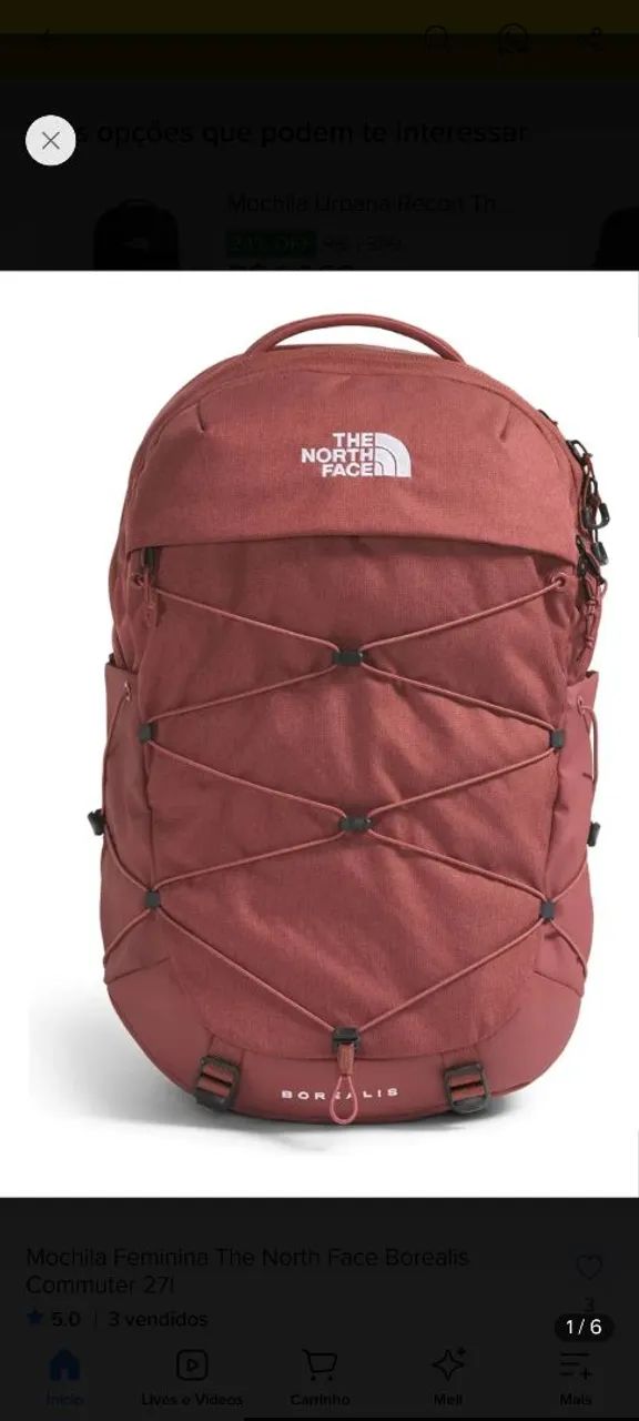 Mochila The North Face Boarealis