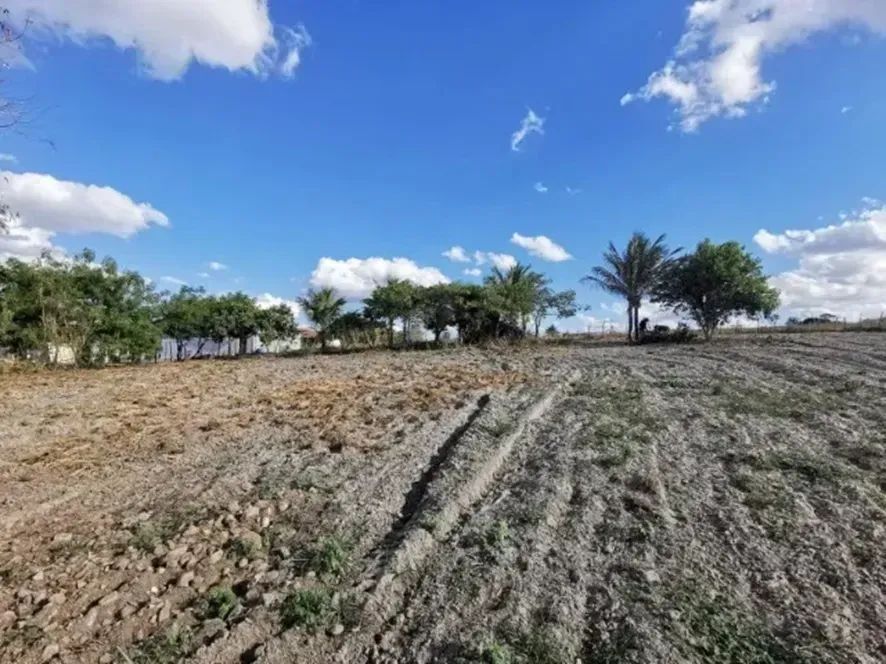 ÓTIMA ÁREA URBANA - 2 Hectares colada na BR - Foto 4