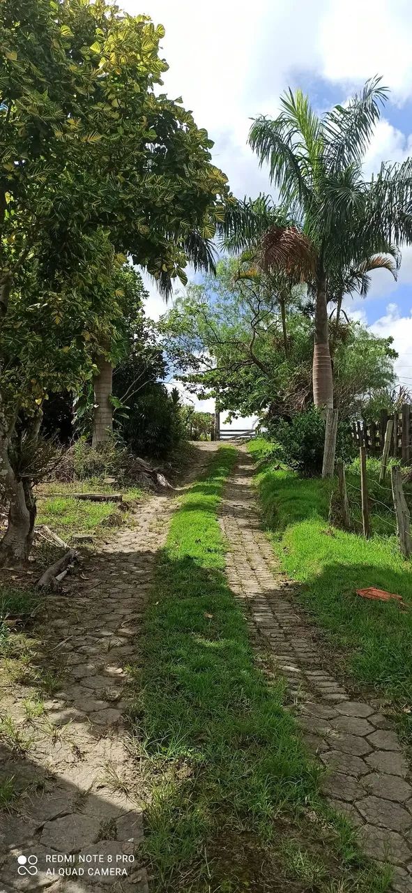 Vende se sitio cidade de registro sp - Foto 5