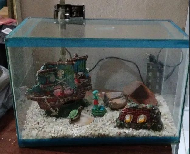 AQUARIO DE ORNAMENTAÇÃO 