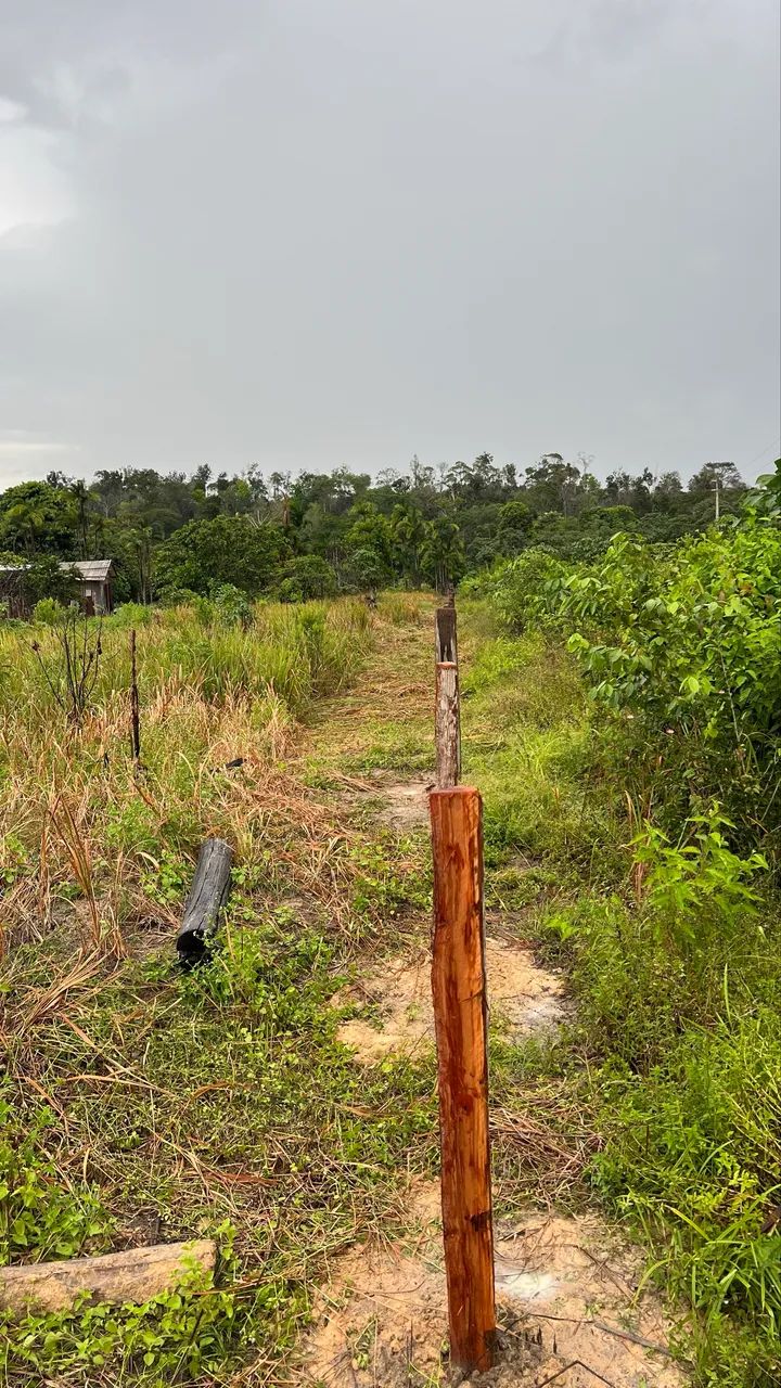 Terreno à venda - Foto 5