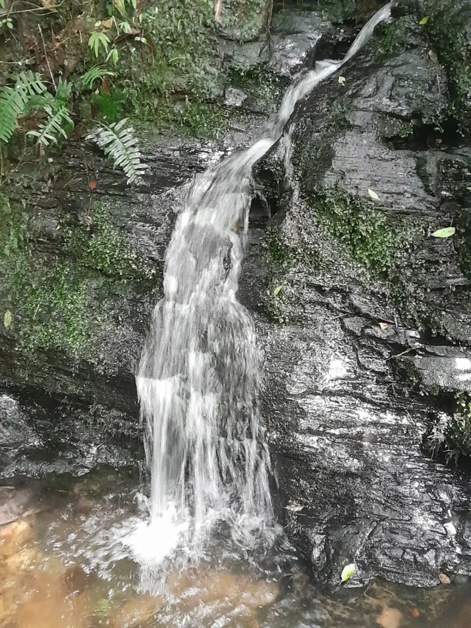 Terreno a venda  - Foto 3