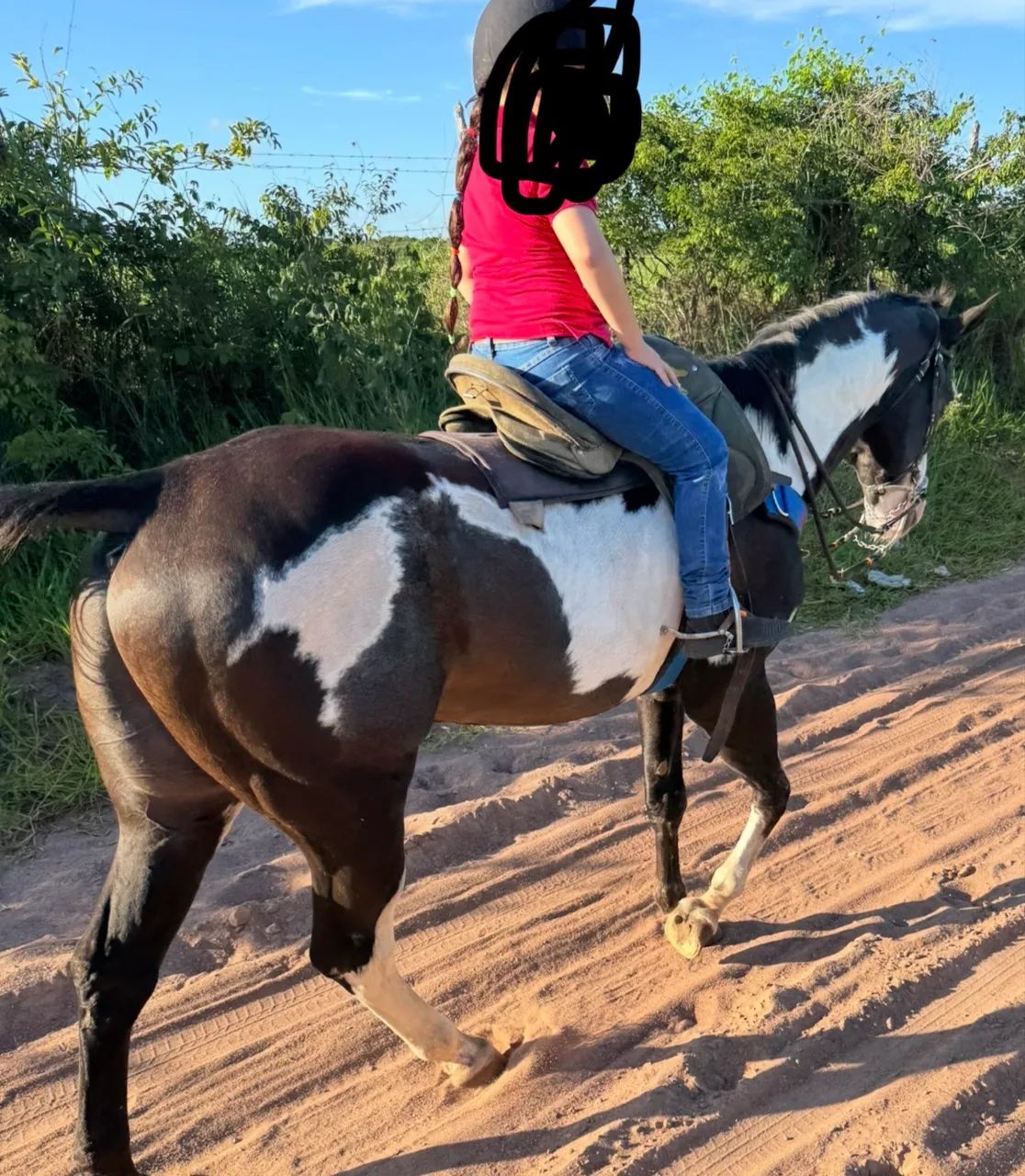 Cavalo de direita  - Foto 5