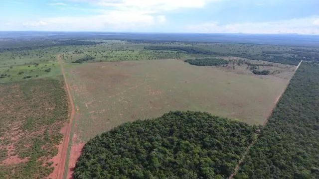 Vende-se Fazenda no Município Peixe, Tocantins