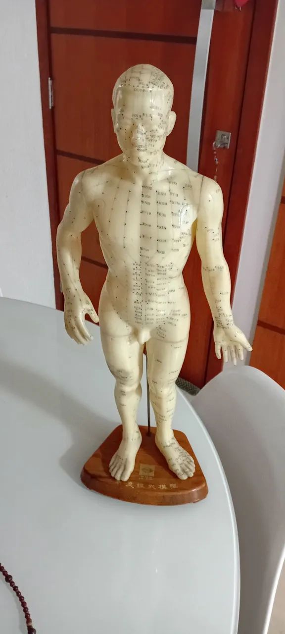 Quadros de vidros e boneco acupuntura  - Foto 5