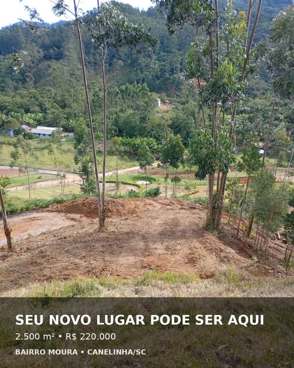 Terreno com Vista privilegiada em CANELINHA -SC - Foto 5