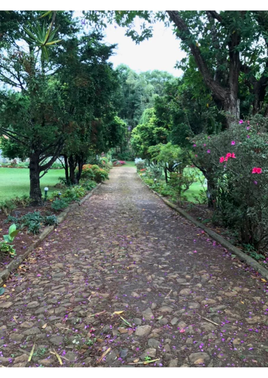 SITIO NA SERRA DA PIEDADE - 8.200 METROS - Foto 2