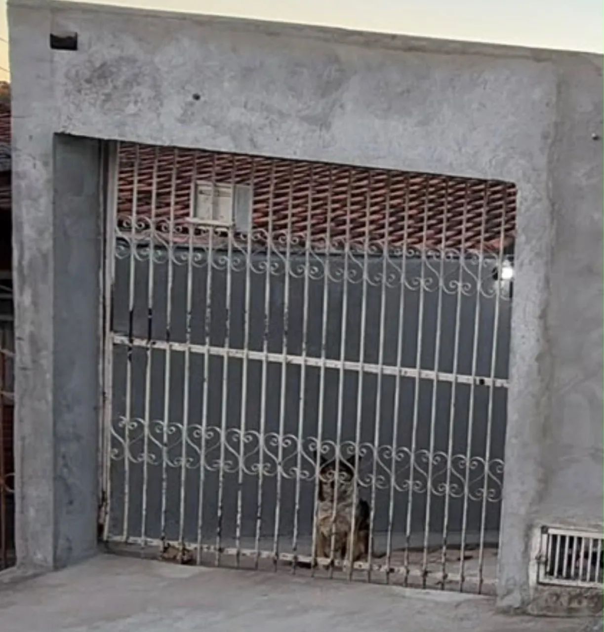 Portão 
