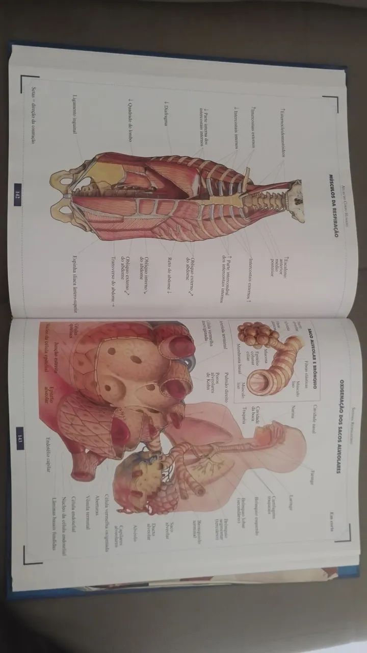 Atlas do corpo humano  - Foto 2