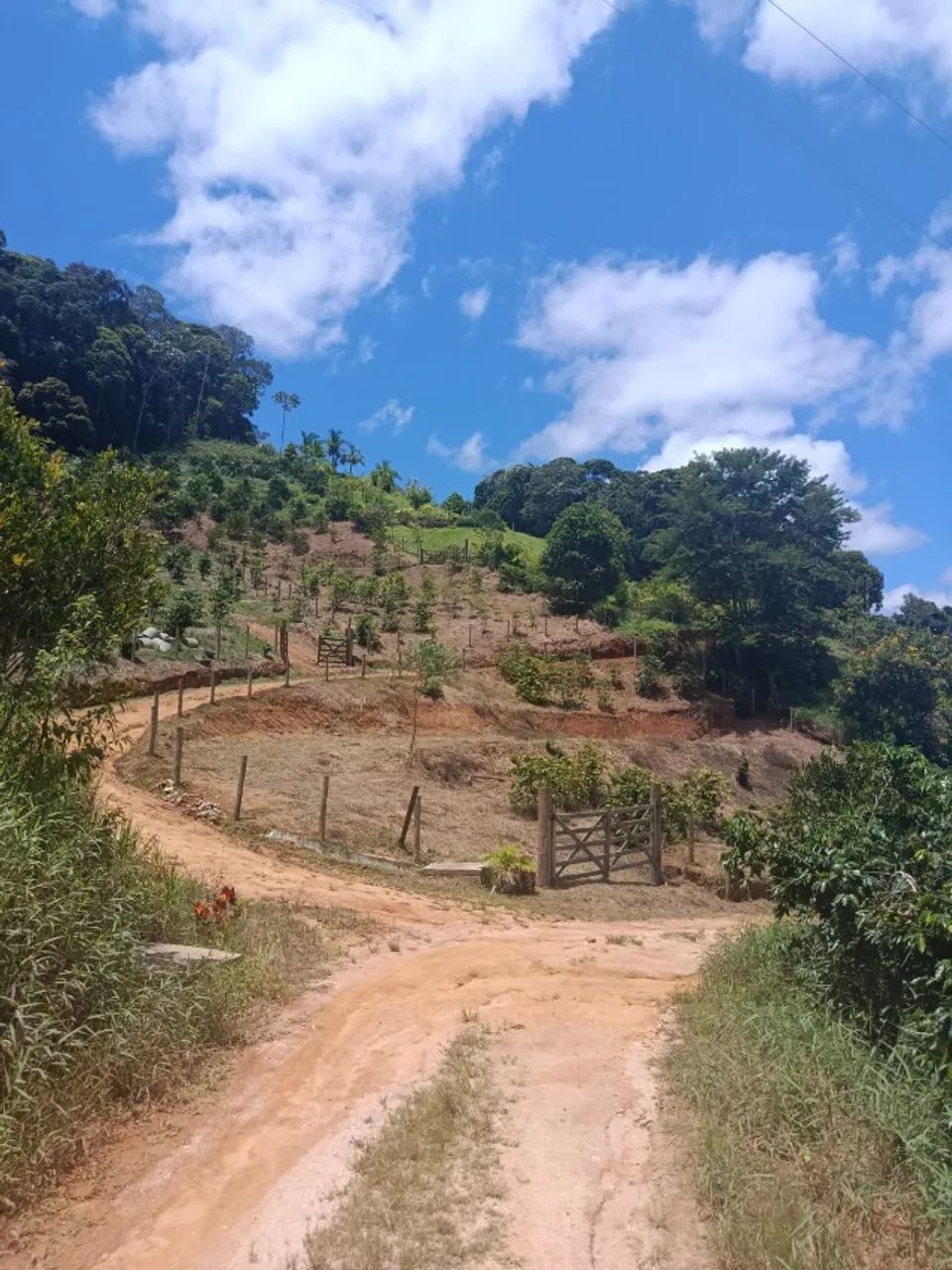 Chácara 900mt cercada e com platô - ESCRITURA e TOPOGRAFIA pronta - Foto 2