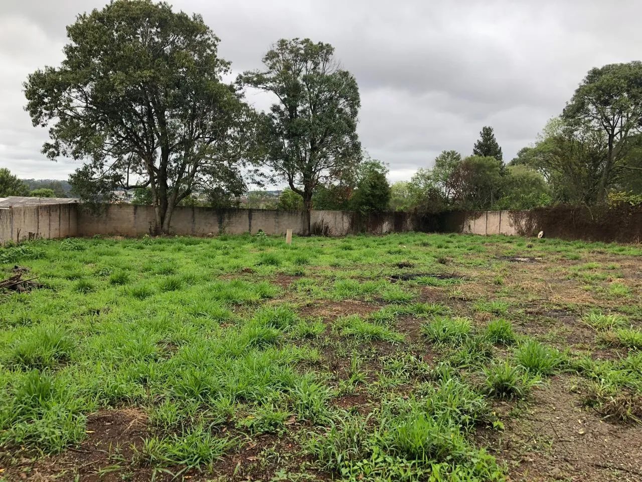 TERRENO À VENDA EM UVARANAS - Foto 4