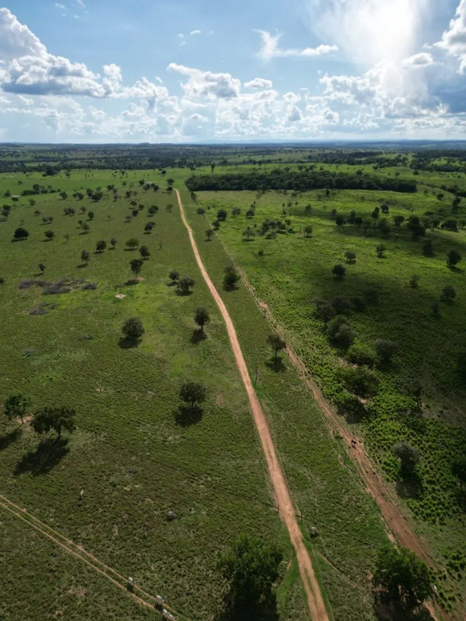 Vaga emprego fazenda