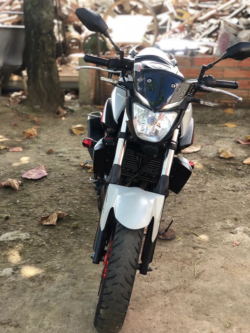 MT-03 2019/2020  - Foto 2