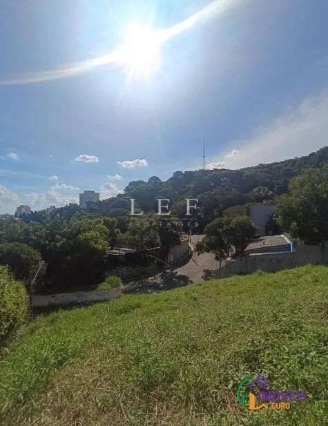 R Tarubá, Alto de Pinheiros - Foto 5