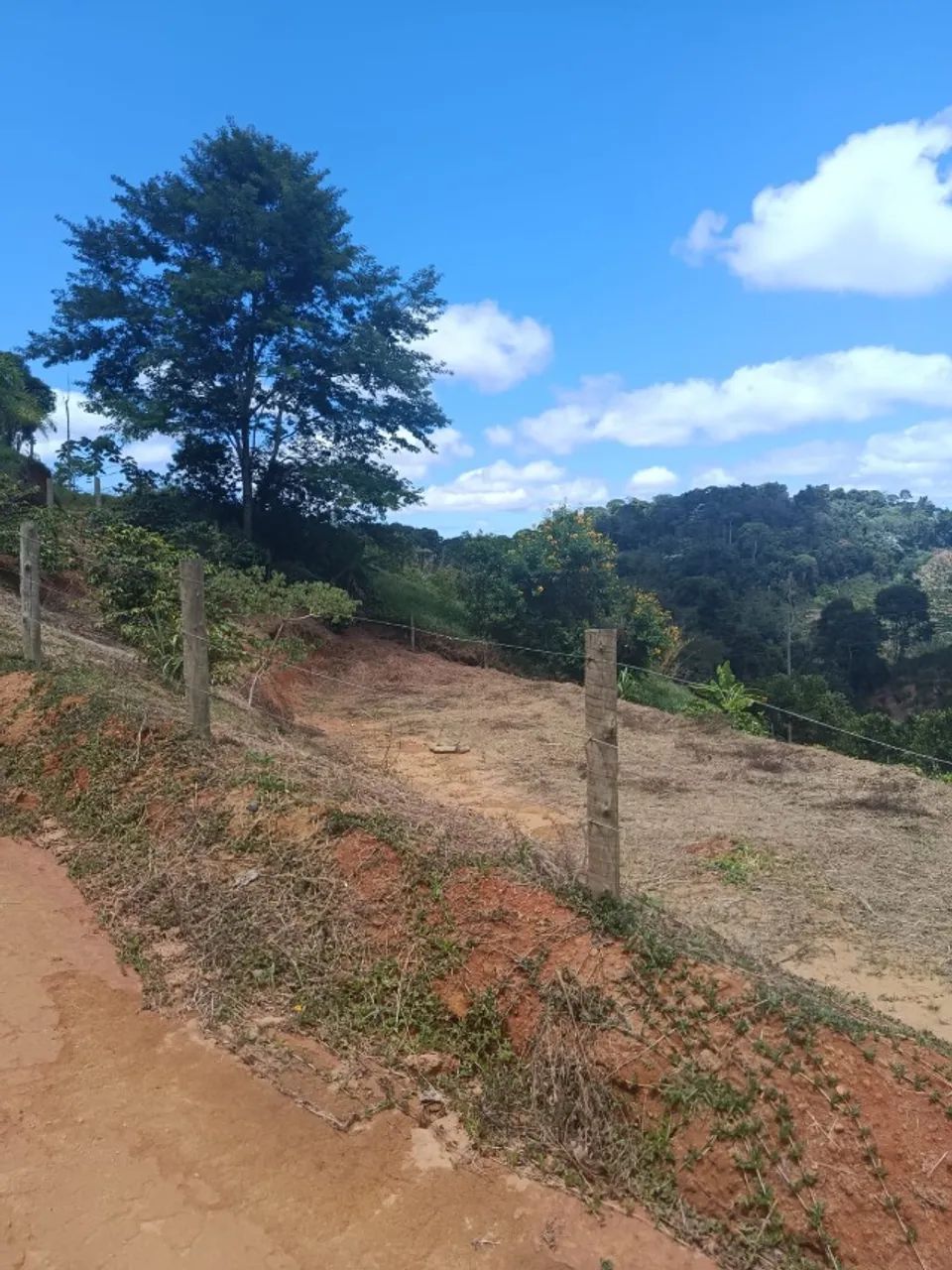 Chácara 900mt cercada e com platô - ESCRITURA e TOPOGRAFIA pronta - Foto 3