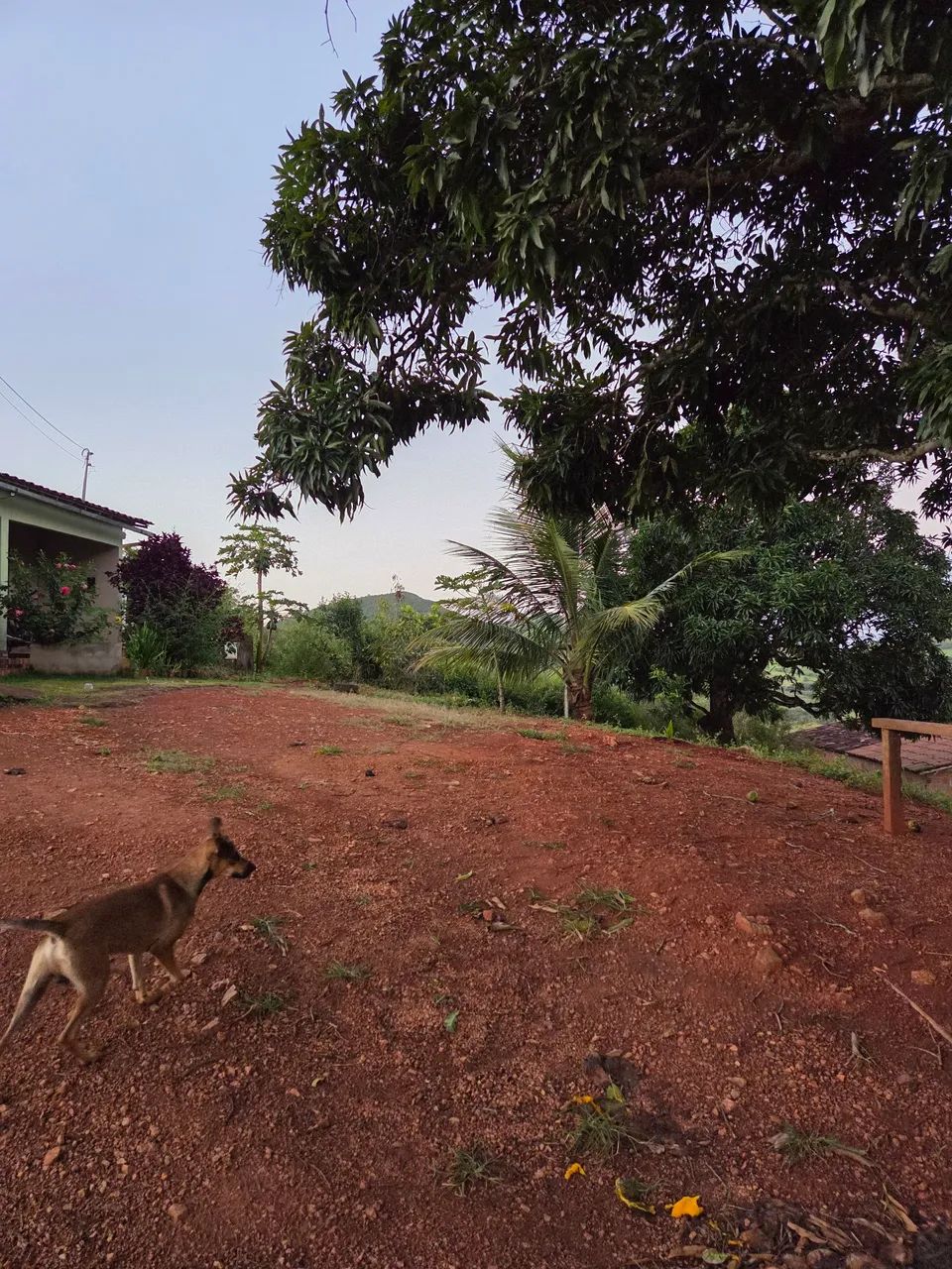 Casa com terreno amplo  - Foto 4