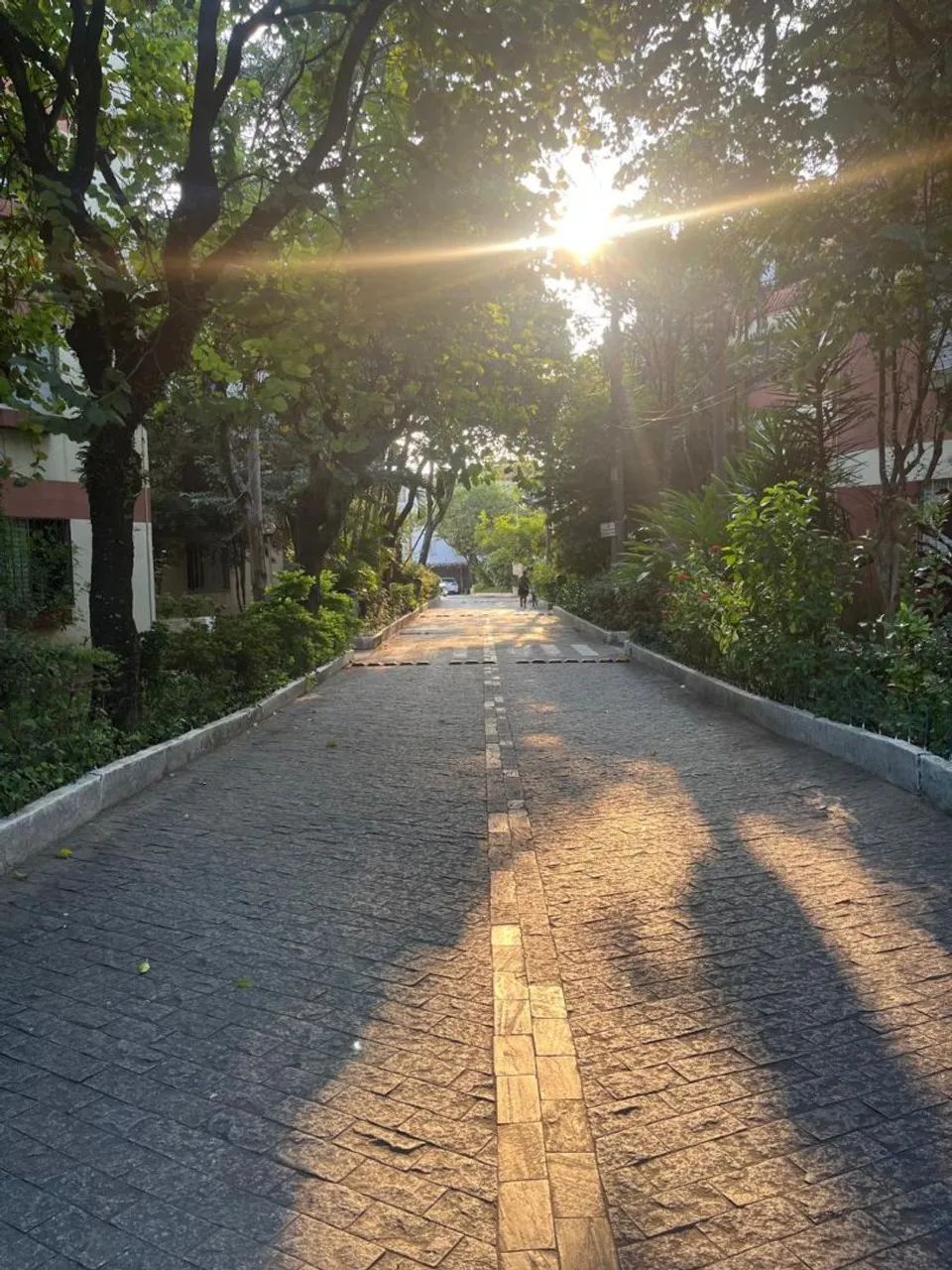 Foto - São Paulo - Vila Nova Cachoeirinha