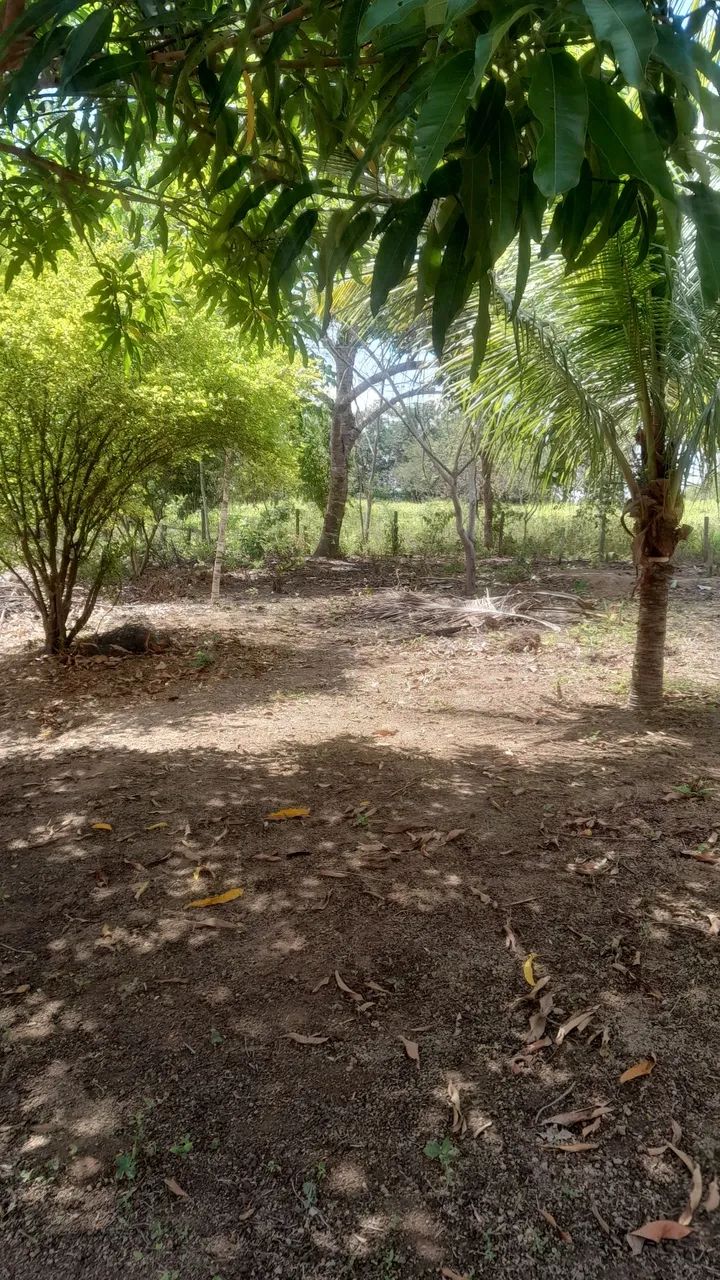Chácara  - Foto 4