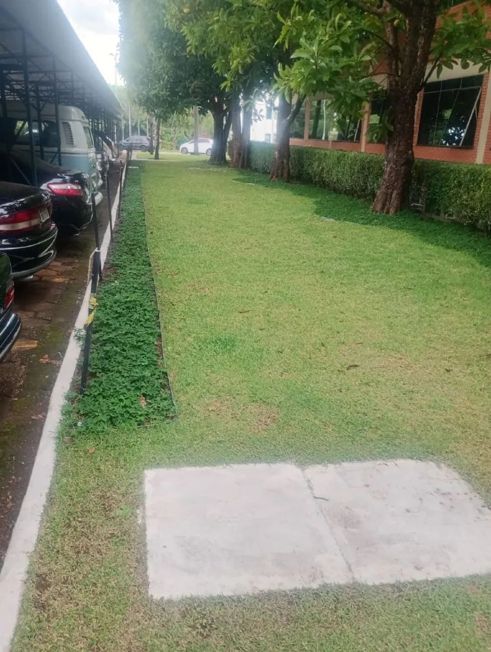 CONTRATA-SE JARDINEIROS  - Foto 5