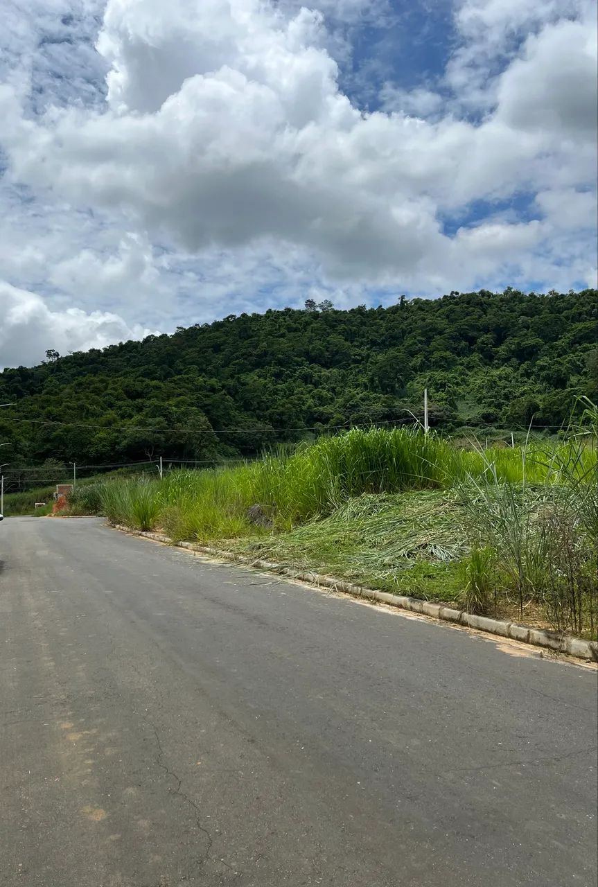 Foto - Coronel Fabriciano - Floresta